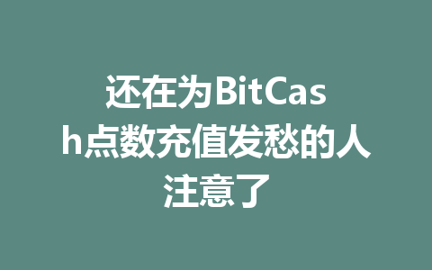 还在为BitCash点数充值发愁的人注意了 一