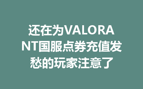还在为VALORANT国服点券充值发愁的玩家注意了 一