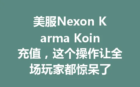 美服Nexon Karma Koin充值，这个操作让全场玩家都惊呆了 一