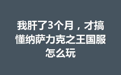我肝了3个月，才搞懂纳萨力克之王国服怎么玩 一
