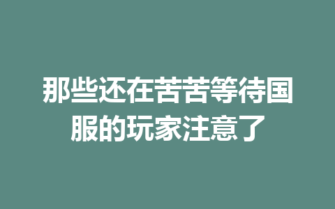 那些还在苦苦等待国服的玩家注意了 一