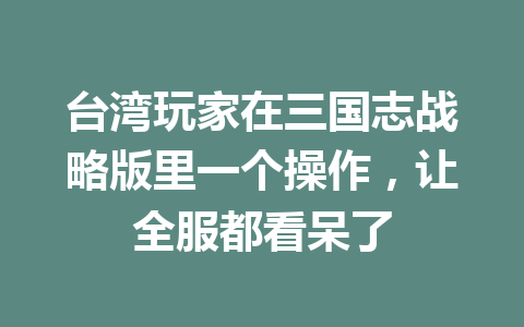 台湾玩家在三国志战略版里一个操作，让全服都看呆了 一