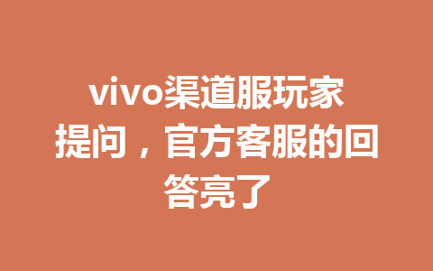 vivo渠道服玩家提问，官方客服的回答亮了 一