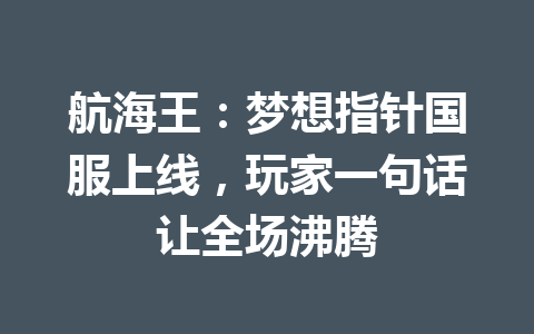 航海王：梦想指针国服上线，玩家一句话让全场沸腾 一