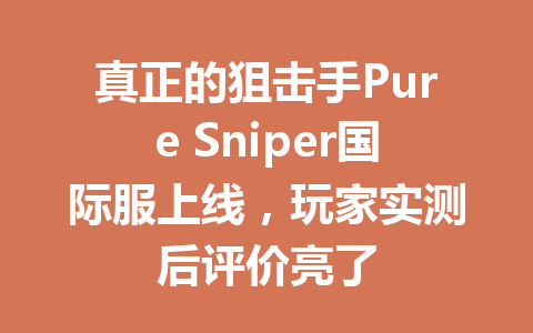真正的狙击手Pure Sniper国际服上线,玩家实测后评价亮了 一
