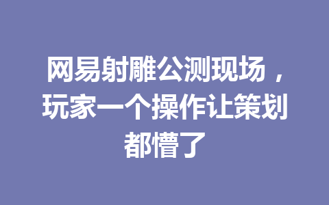 网易射雕公测现场，玩家一个操作让策划都懵了 一