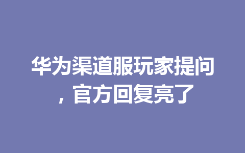 华为渠道服玩家提问，官方回复亮了 一