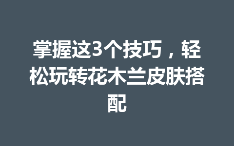掌握这3个技巧,轻松玩转花木兰皮肤搭配 一
