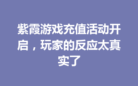 紫霞游戏充值活动开启,玩家的反应太真实了 一