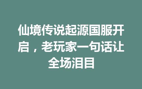 仙境传说起源国服开启，老玩家一句话让全场泪目 一