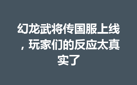 幻龙武将传国服上线，玩家们的反应太真实了 一