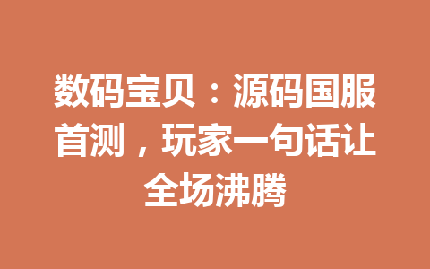 数码宝贝：源码国服首测，玩家一句话让全场沸腾 一