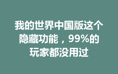 我的世界中国版这个隐藏功能，99%的玩家都没用过 一