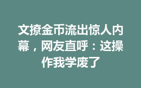 文撩金币流出惊人内幕，网友直呼：这操作我学废了 一