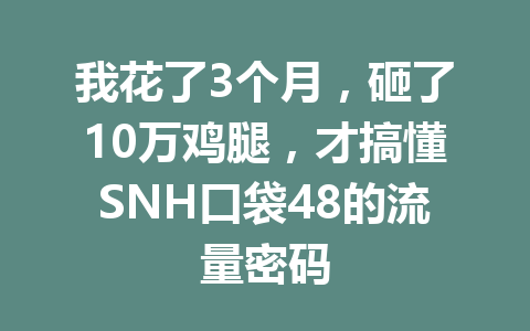 我花了3个月,砸了10万鸡腿,才搞懂SNH口袋48的流量密码 一