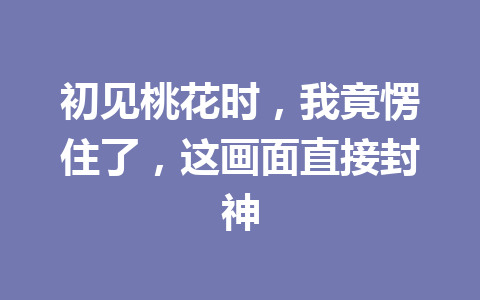 初见桃花时，我竟愣住了，这画面直接封神 一